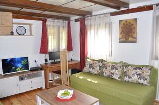 Апартаменты Apartment Enjoy Колашин Апартаменты с 1 спальней-14