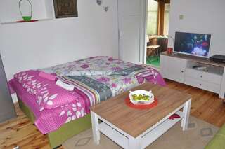 Апартаменты Apartment Enjoy Колашин Апартаменты с 1 спальней-21