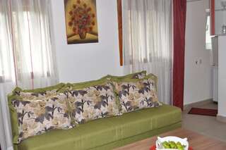 Апартаменты Apartment Enjoy Колашин Апартаменты с 1 спальней-49