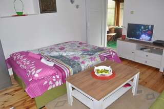 Апартаменты Apartment Enjoy Колашин Апартаменты с 1 спальней-50