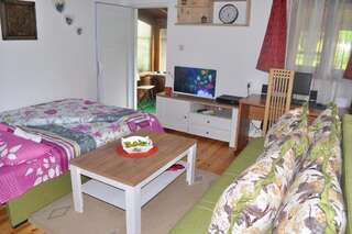 Апартаменты Apartment Enjoy Колашин Апартаменты с 1 спальней-51