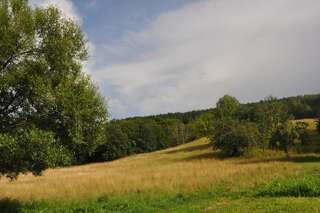 Апартаменты Apartment Enjoy Колашин Апартаменты с 1 спальней-6