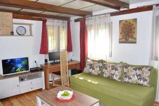 Апартаменты Apartment Enjoy Колашин Апартаменты с 1 спальней-61